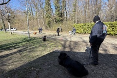 8CDAC7C3-59E0-4F09-9048-8C61CD8D3062_1_201_a