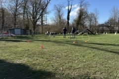 907D5083-164A-42A0-AC56-27B532021AA6_4_5005_c