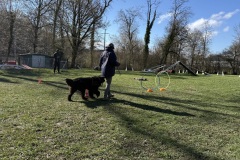 91007E41-17E1-4A0D-92DF-92A3EBAD1A7A_1_201_a