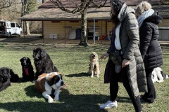 965DD535-B7C7-4018-AB01-FB6A9D5FB614_1_201_a