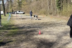 9735B1EF-CB3C-44EC-8E73-7563C9223D98_1_201_a