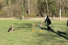 97389413-40AB-4177-AD0E-3CF842961196_4_5005_c