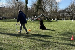 9BF2726C-3F94-47C3-8D58-D0E0DB0EFD97_1_201_a