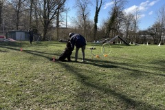 9C519511-24C7-46C7-B835-BC2FBA2F6F3E_1_201_a