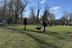 9CA25494-8CF2-4954-9976-E07954D91132_4_5005_c