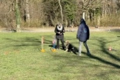 9F2FFB2D-974A-49DB-8D32-DC4EE04069CD_4_5005_c