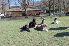 A1CF520F-CC52-4B82-95D8-B75A27FA49EF_1_105_c