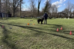 A4194609-170B-439A-806C-3E48D93BC544_1_201_a