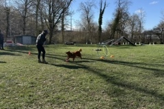 AD95EA65-9361-4D8C-A446-CF06AAABB183_4_5005_c