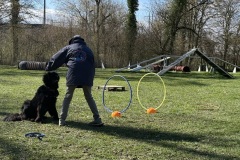 B7B2D38C-73BF-4F1F-A27F-C3FDDC868F43_1_201_a