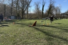 BC6FA3F4-5E3C-4E9F-A7D4-DCC3A05C57A4_4_5005_c