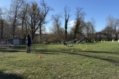 BD4E3F93-848B-4205-8CA2-D656892384B4_4_5005_c