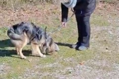 BEB74675-9B07-4CA2-A3CD-24BC63B5AAF8_4_5005_c