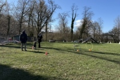 C73D231C-B2A8-4DA4-84B7-FF3EAB7428CC_4_5005_c