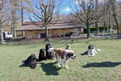 C8BC3A16-09C2-4E42-B651-E660A9D55CDD_1_105_c