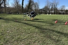 D05DF715-101A-417D-84D8-5E0FE9CFB46D_4_5005_c