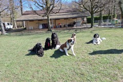 D4A4E789-69BC-46E4-AD95-4F9A722325C9_1_105_c