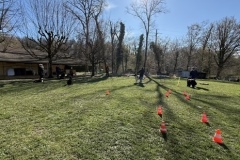 D536706E-F015-41FC-AD82-7A0C8E090A1F_4_5005_c