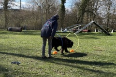 D673432B-F429-416E-87B1-E50016CD7BC7_1_201_a