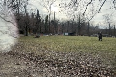 IMG_6499