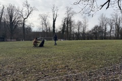 IMG_6501