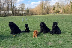 00ec0e96-e913-4587-a4ea-21237c1882b1