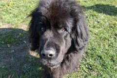 0838ad48-203c-410e-a125-63a19d6bd589