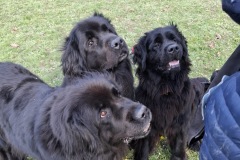 09e99d6a-eea3-4d36-ae4d-ab40c90f1bf4