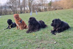 25a69cab-1309-4817-ad76-c69c0fd3f5e7