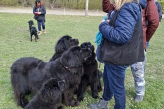 297bcf31-020b-4372-be2b-42d80b428b52