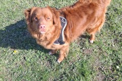 62578b35-fc8c-46b4-b2c8-0718a742b344