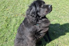 8e39e789-8823-44f9-bfae-0079840a5585