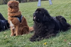 923f83e4-839e-4753-9fe1-677c8526f156