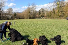 c24fb9c4-1e79-4655-aa0c-417b9f66782b