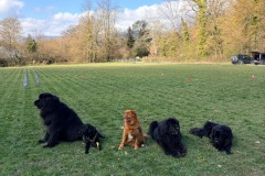 c9b037c7-19b9-4410-9443-1213b7527a78