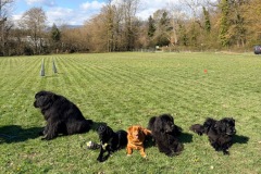 cc23a11c-bc7d-4f20-a6b8-fcdb6c0a0a62