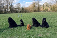 ce52b771-42b5-450a-94fb-8554813fec6b