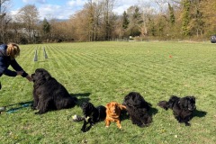 d2cf624b-73ad-4eb2-88fd-5021dbf574e5