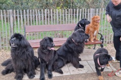 2026 15 février 2026 Gland