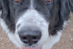 237950f9-338d-4530-9860-359d3b73d7d1