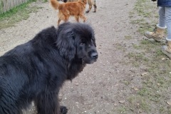 7a72fa84-19f8-4118-8b17-2d77c63741a3