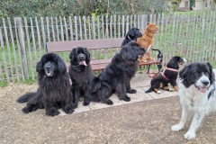 e688854a-2747-495d-9a84-adb1256e21af-2