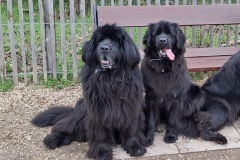 f34e7271-6d9f-4613-a18c-21760f27fd5a