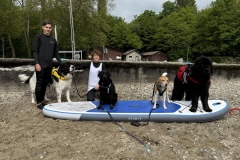 Photo-27.04.25-11-09-38