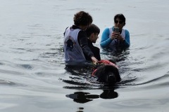 Photo-27.04.25-12-51-29-3