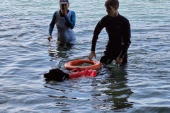 Photo-22.06.25-15-05-56-12
