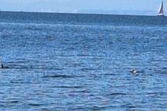 Photo-22.06.25-15-05-56-8