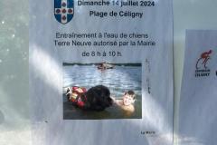 WhatsApp-Image-2024-07-14-a-16.18.49_105eca04