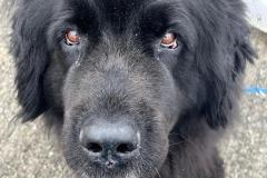 IMG-20240825-WA0011