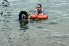 IMG-20240825-WA0038